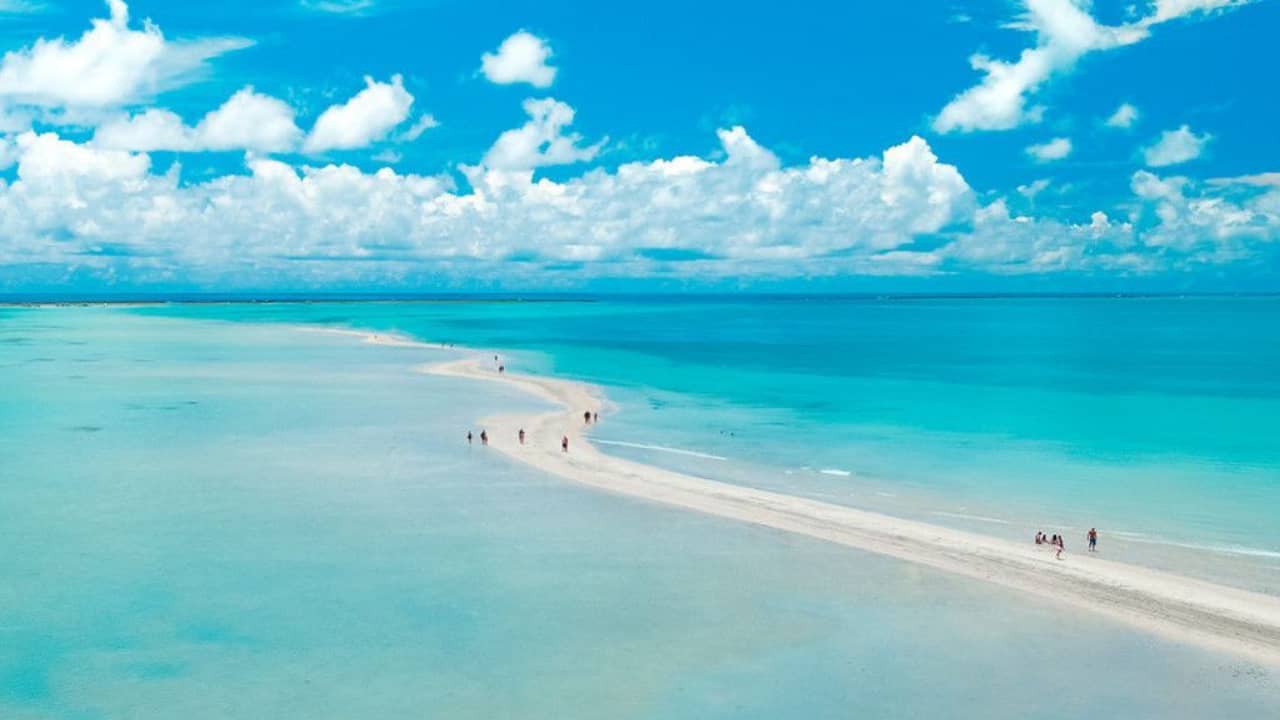Porto de Galinhas - Passeio a Maragogi