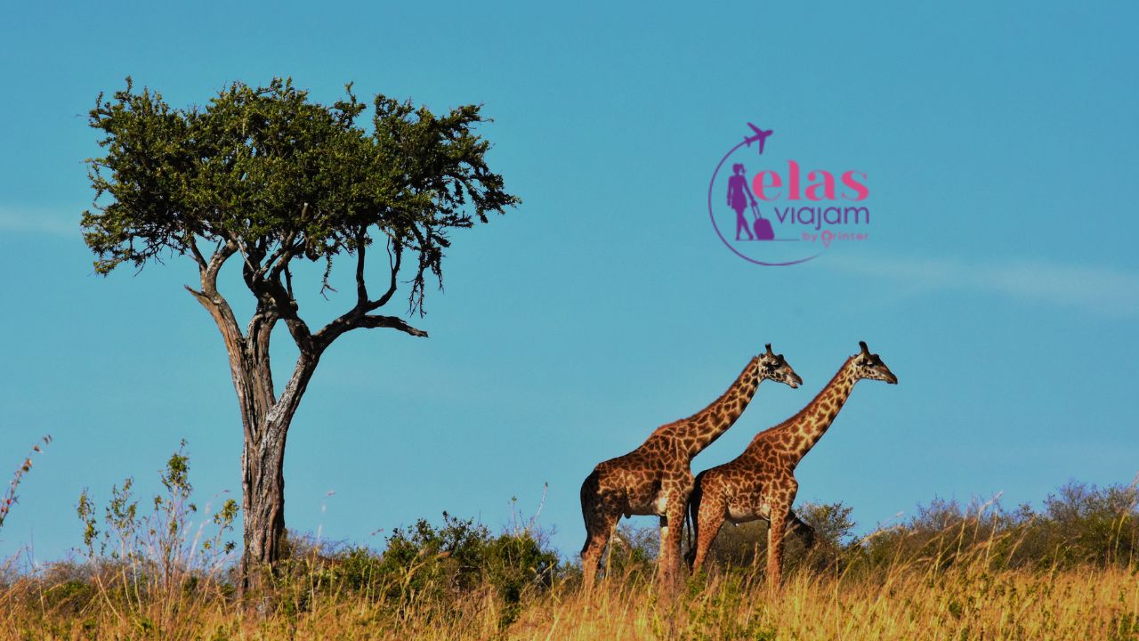 Imagem de grupos de viagem